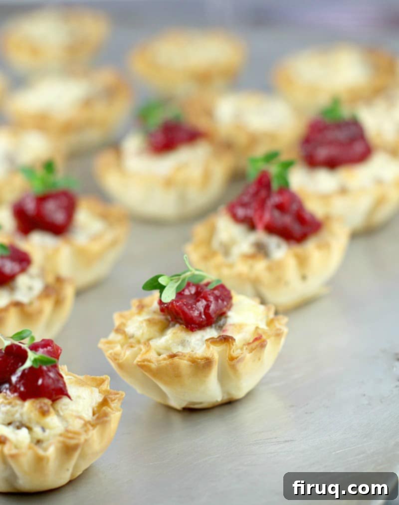 Festive Sausage Bites with Cranberry Mango Compote 2 Mini Sausage Party Tarts with Cranberry Mango Compote