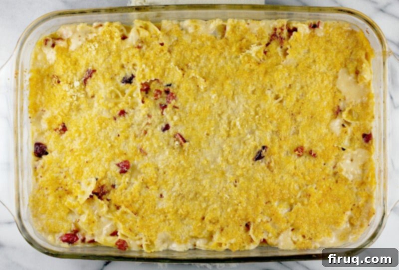 Bold Cranberry Chorizo Macaroni and Cheese 5 Cranberry Chorizo Macaroni and Cheese