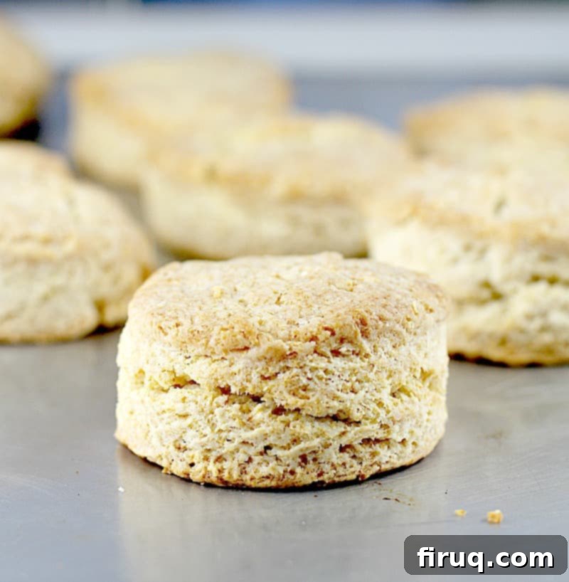 Tender Flaky Yogurt Biscuits 2 Golden brown, flaky Greek Yogurt Biscuits stacked on a plate, ready to be served.
