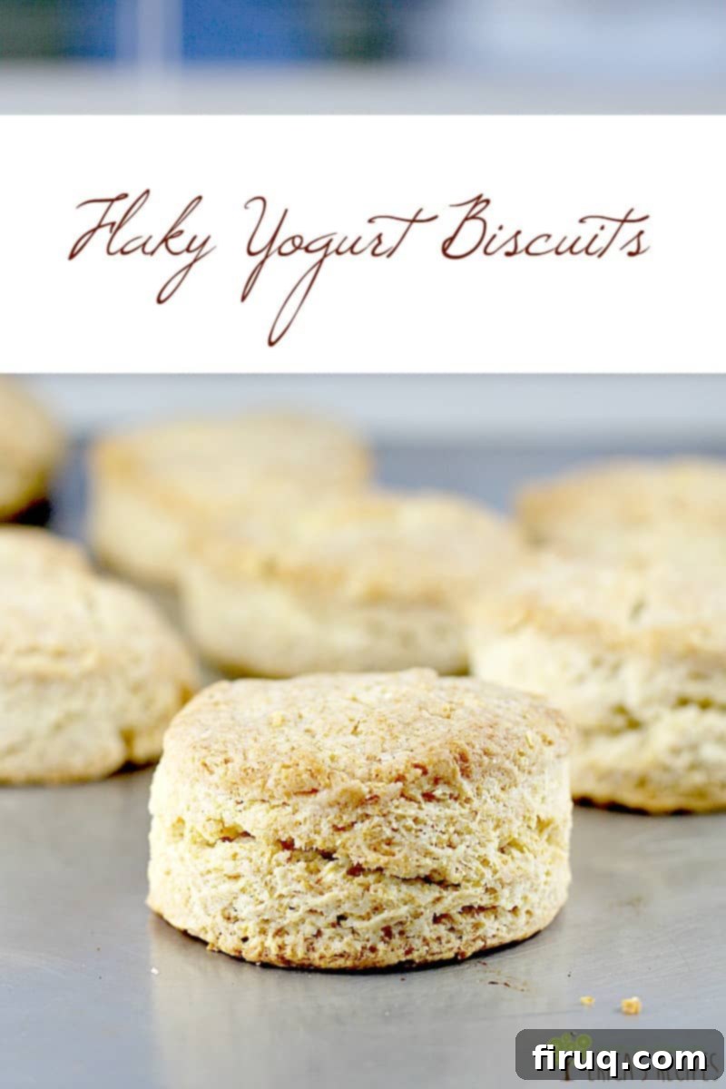 Tender Flaky Yogurt Biscuits 6 Flaky Greek Yogurt Biscuits arranged on a serving plate with fresh berries and honey, ready to be enjoyed as a perfect breakfast.