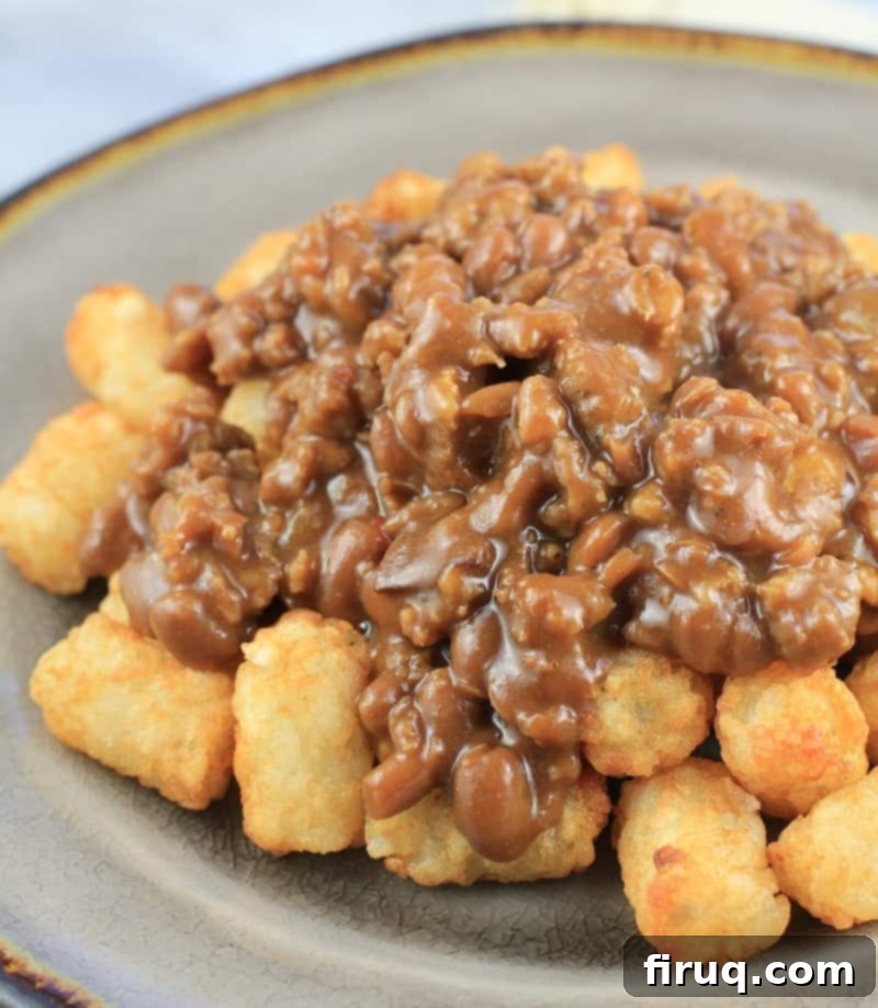 Delicious Beer Barbecue Tater Tot Nachos Generous serving of Beer Barbecue Tater Tot Nachos, garnished with fresh green onions, ready to be enjoyed as a party food.