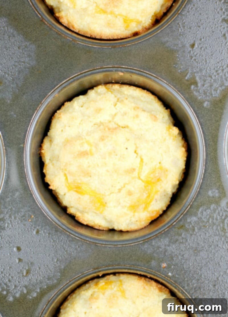 Guilt-Free Cheddar Bay Biscuits 10 Close-up downward view of a golden-brown, baked biscuit still in its muffin tin, fresh from the oven