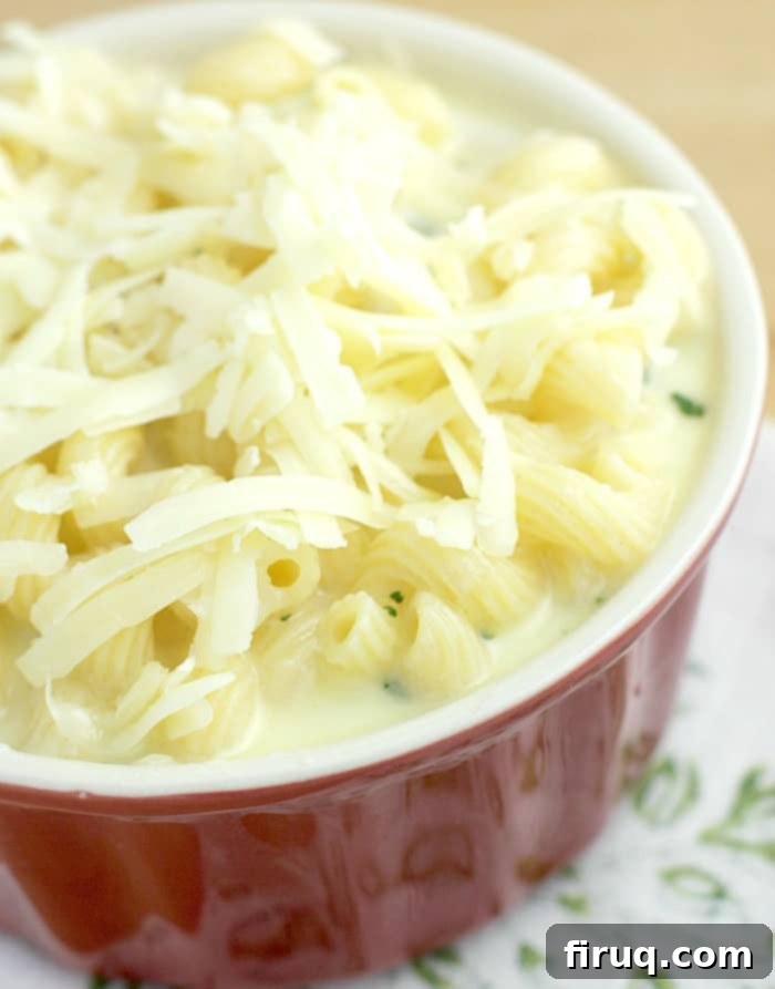 Gourmet White Wine Mac and Cheese 7 shredded cheese on top of uncooked casserole