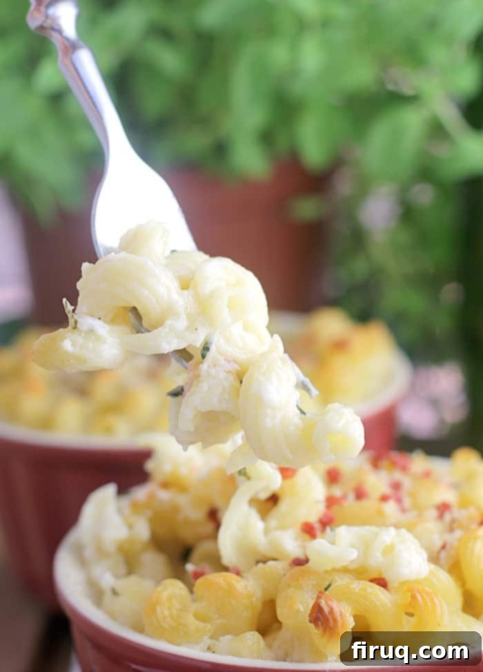 Gourmet White Wine Mac and Cheese 9 fork filled with pasta