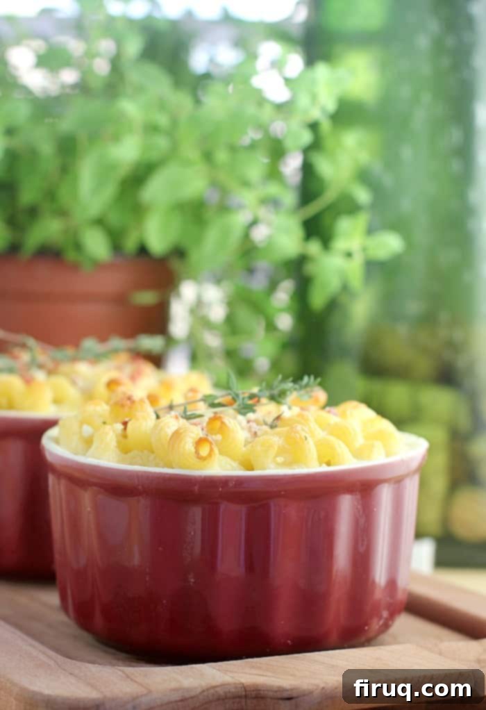 Gourmet White Wine Mac and Cheese 10 mac and cheese for two in two red ramekins on wood board