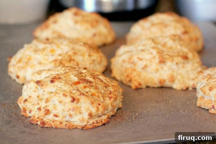 Cheddar Bay Bacon Biscuits Smothered in Shrimp Gravy 5 cooked bacon biscuits on metal bake sheet