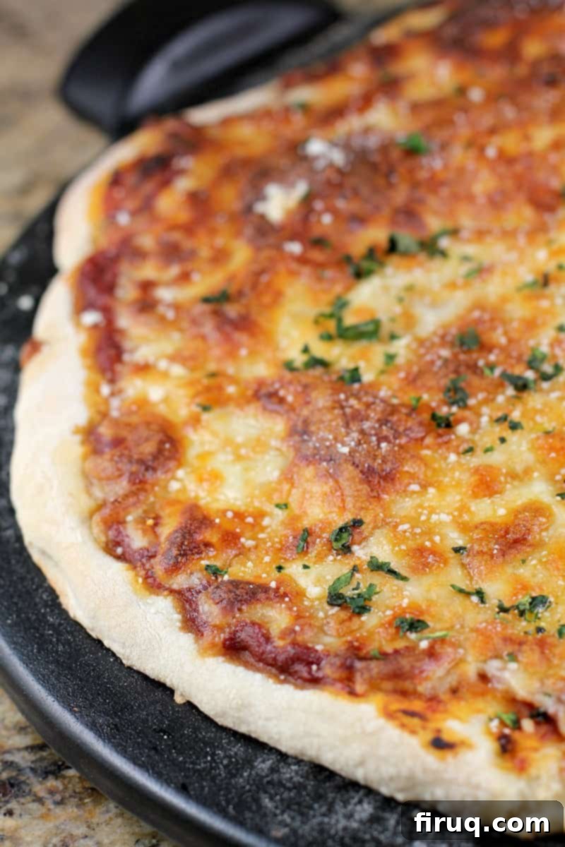 Sam Adams Hoppy Pizza Crust 3 cooked cheese pizza on black pizza stone