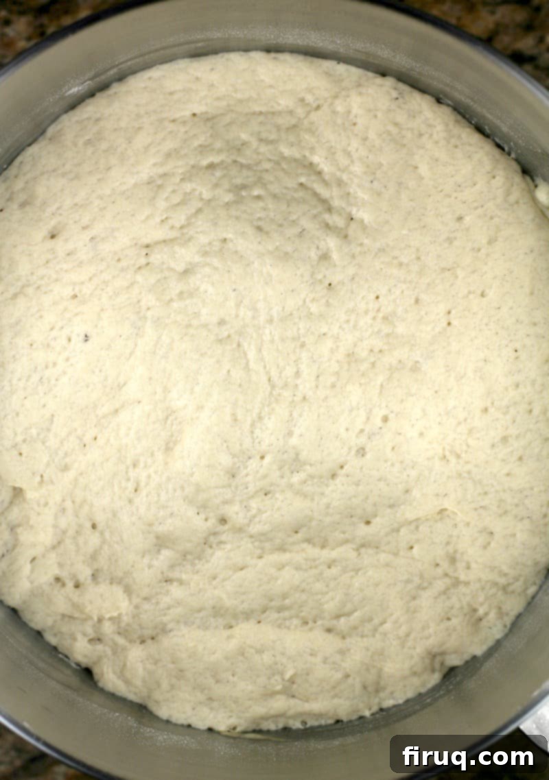 Sam Adams Hoppy Pizza Crust 7 beer pizza dough after rising