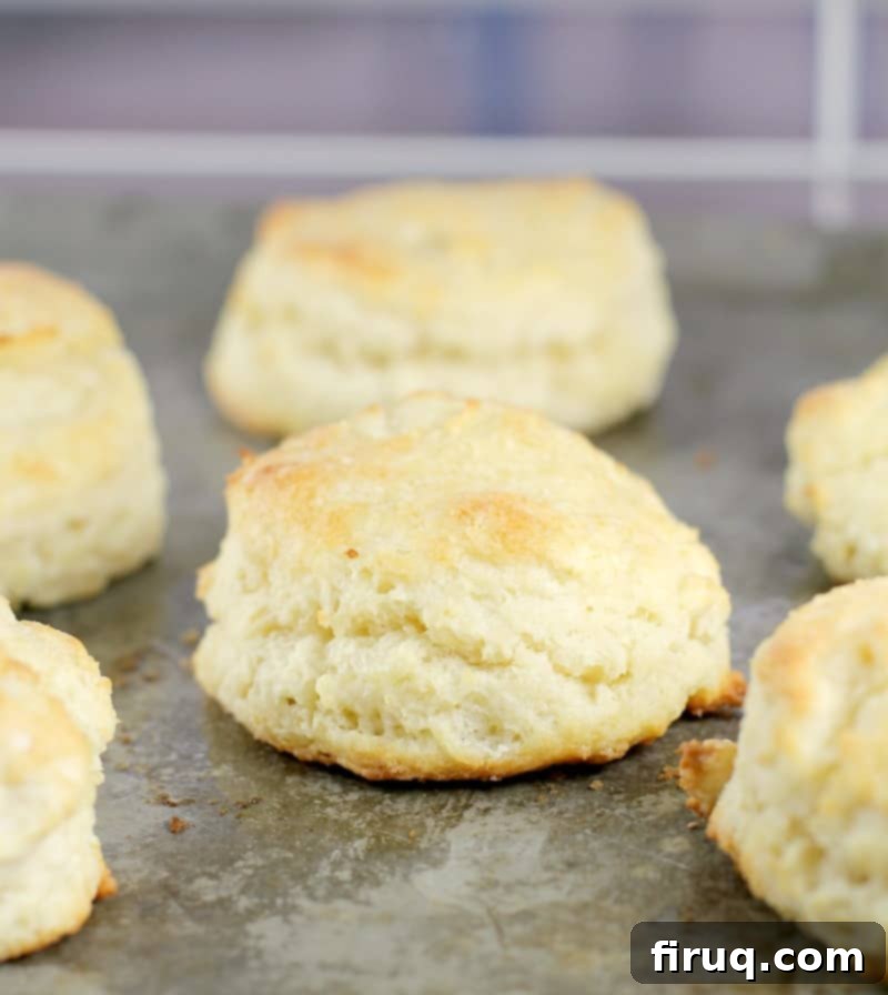 Fluffy Southern Buttermilk Biscuits 11 finished biscuits on a bake sheet