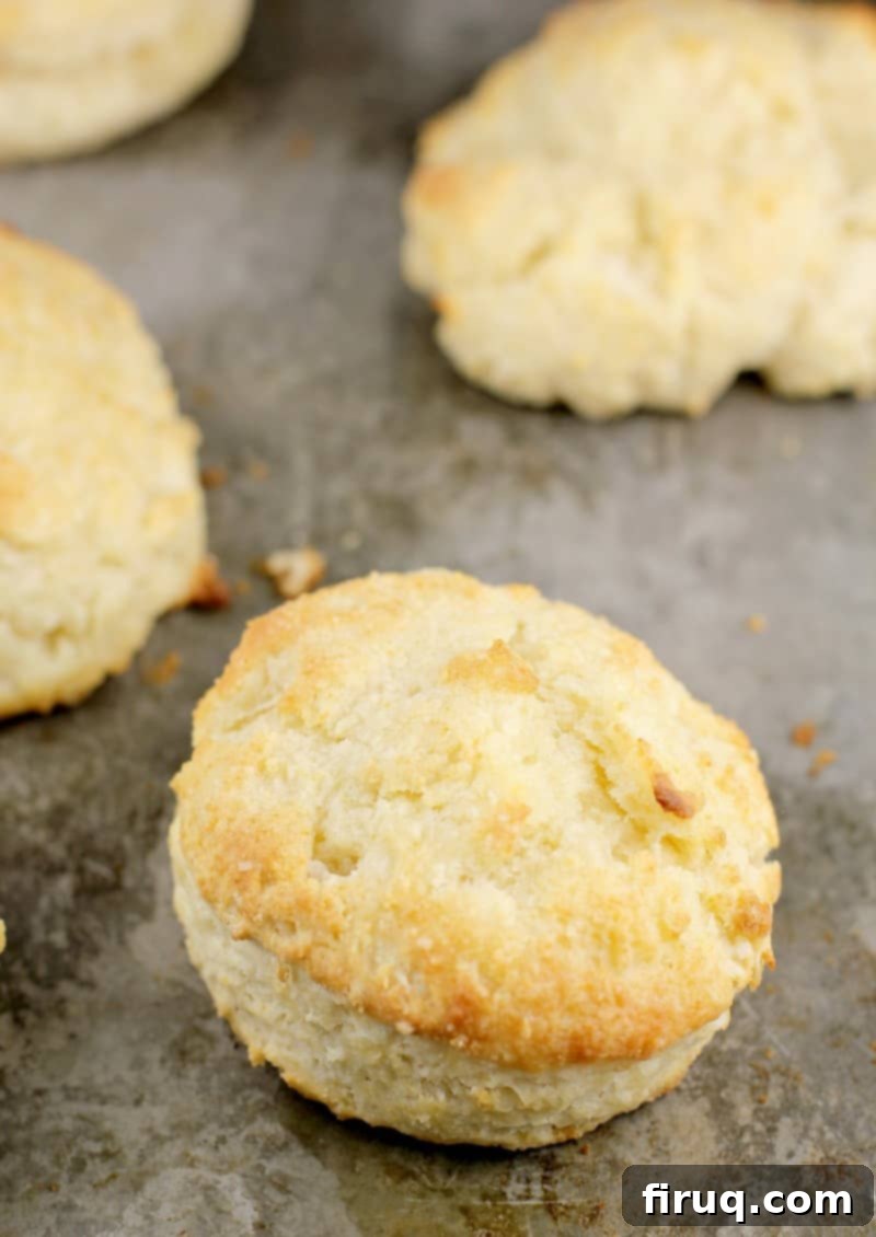 Fluffy Southern Buttermilk Biscuits 9 cooked biscuits on a cookie sheet