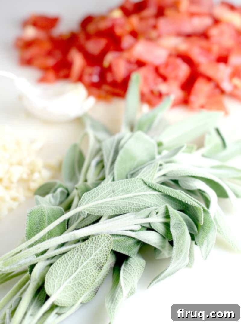 Gnocchi with Vine-Ripened Tomato, Parmesan, and Olive Oil 3 Close-up of fluffy gnocchi tossed with fresh ingredients.