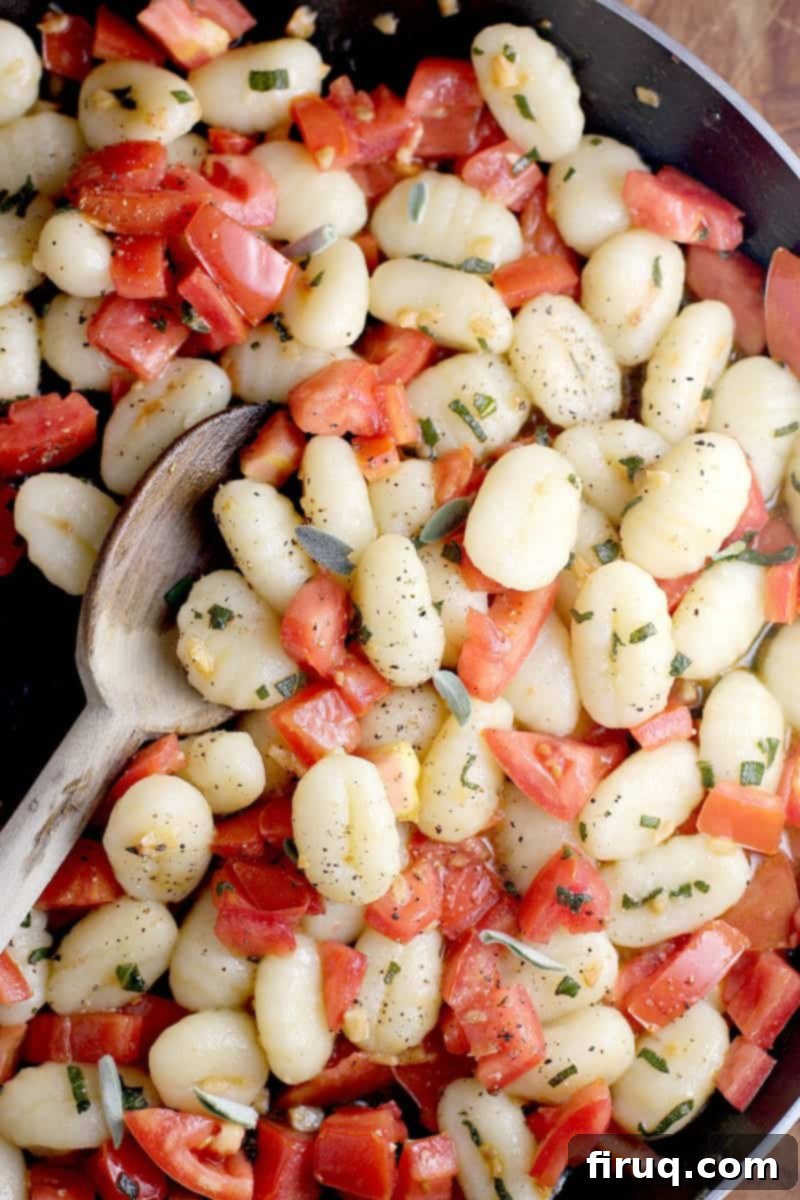 Gnocchi with Vine-Ripened Tomato, Parmesan, and Olive Oil 7 A finished plate of Gnocchi with Olive Oil, Tomato, and Parmesan.