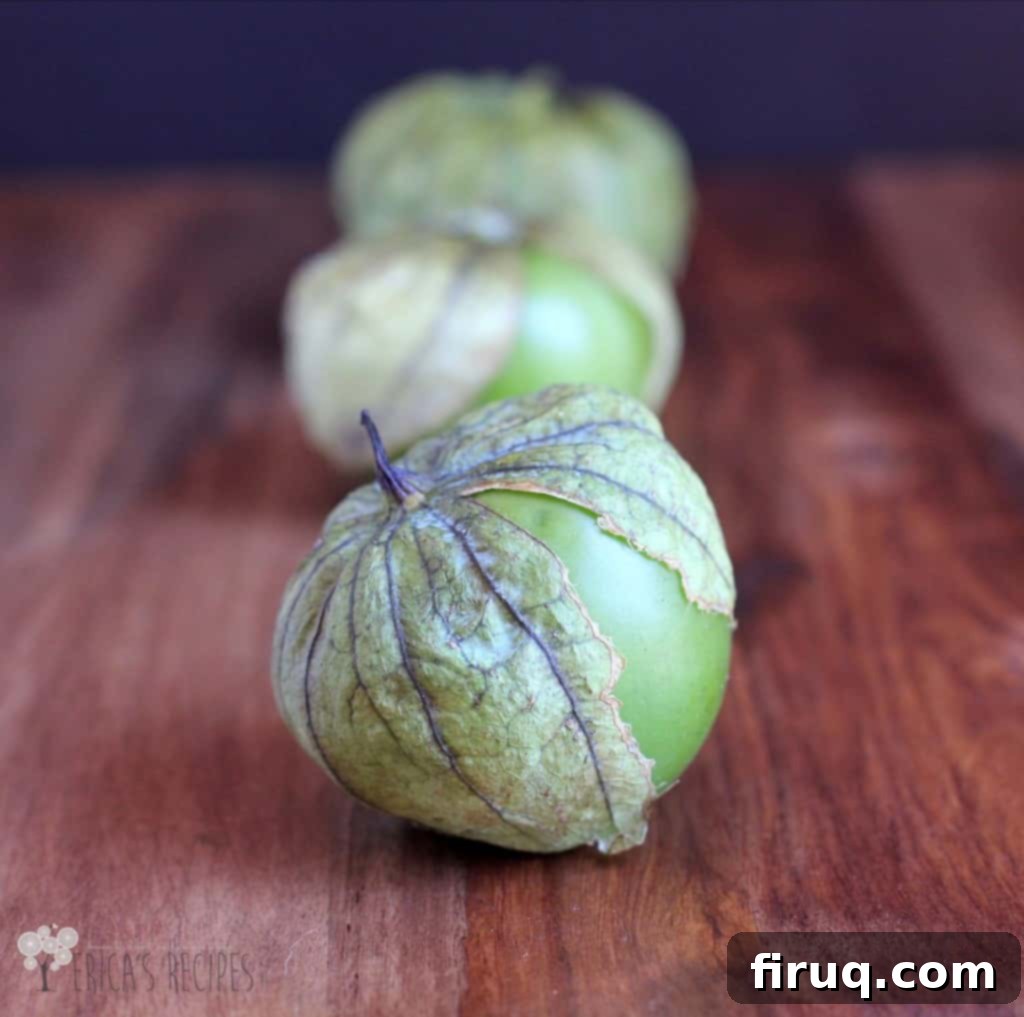 Fire-Roasted Tomatillo Salsa 3 Roasted Tomatillo Salsa