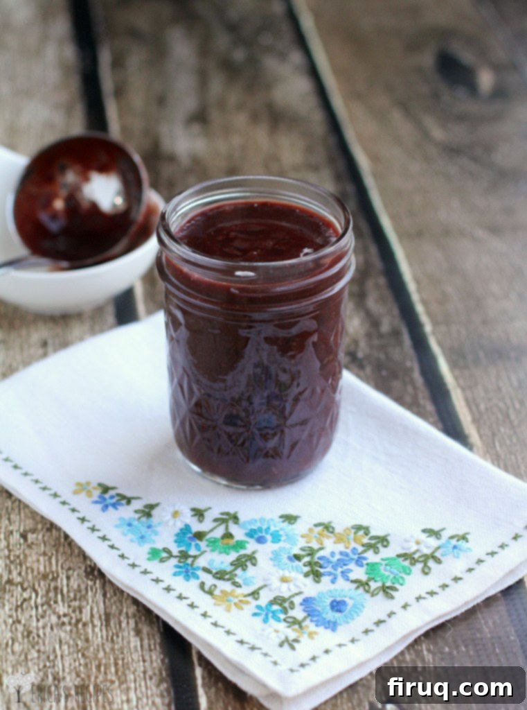 Sweet Heat Cherry Chipotle Cheeseburger 3 Homemade Cherry Chipotle Barbecue Sauce
