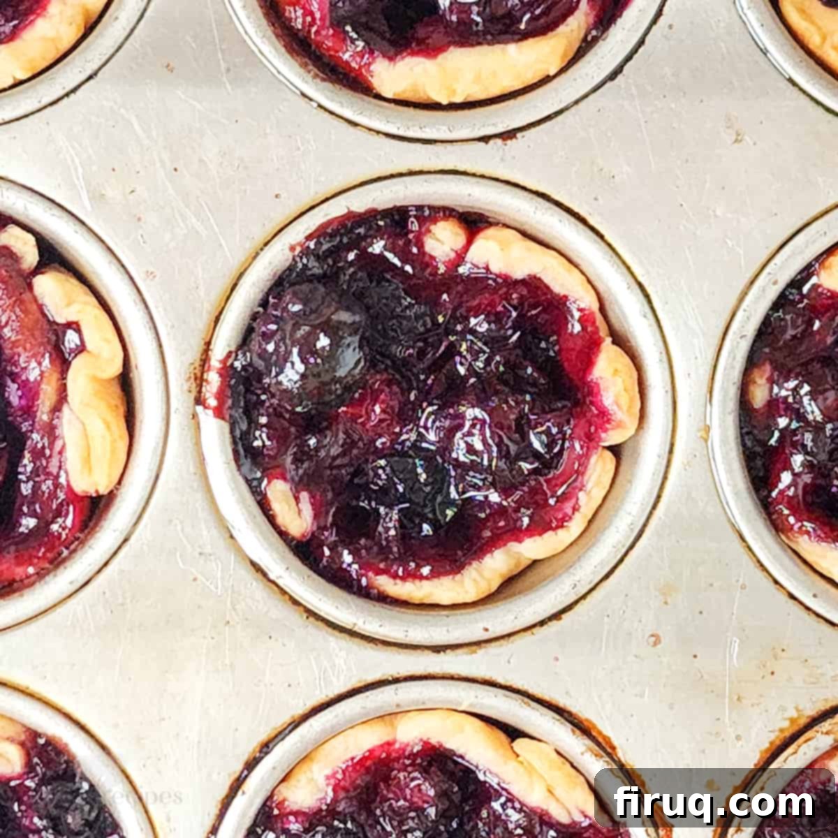Sweet & Creamy Blueberry Brie Bites 2 Baked blueberry brie bites, freshly prepared and ready to serve