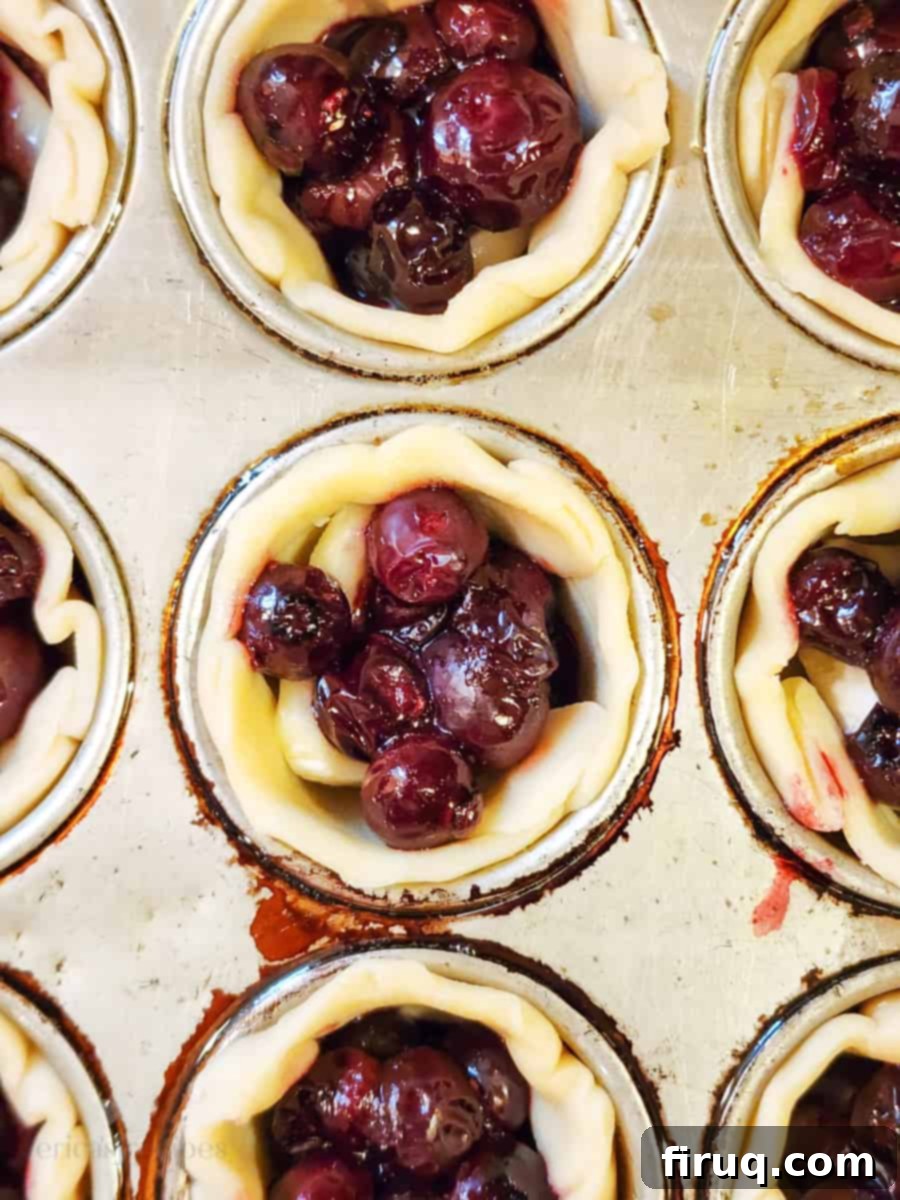 Sweet & Creamy Blueberry Brie Bites 4 muffin tin with prepared pie crust and filling before baking