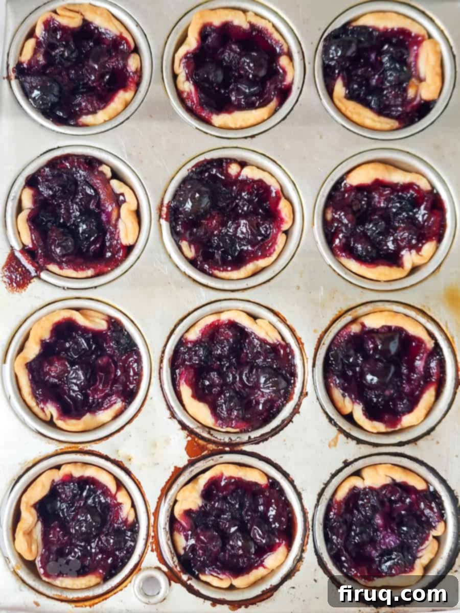 Sweet & Creamy Blueberry Brie Bites 5 baked pie bites in muffin tin
