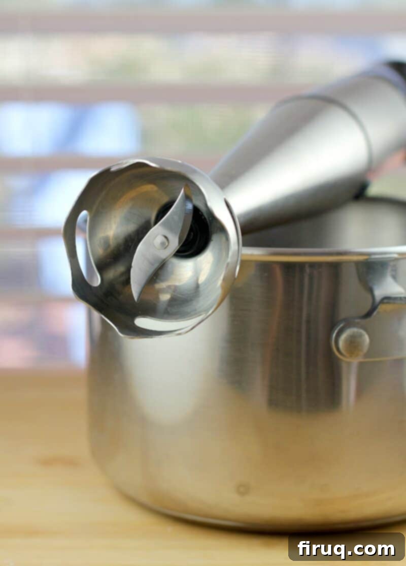 Sweet Heat Cherry Chipotle BBQ 8 blade of an immersion blender