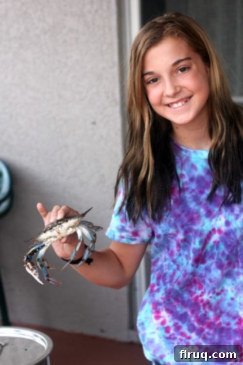 The Ultimate Steamed Blue Crabs 3 Classic Steamed Blue Crabs