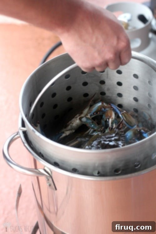 The Ultimate Steamed Blue Crabs 7 Classic Steamed Blue Crabs