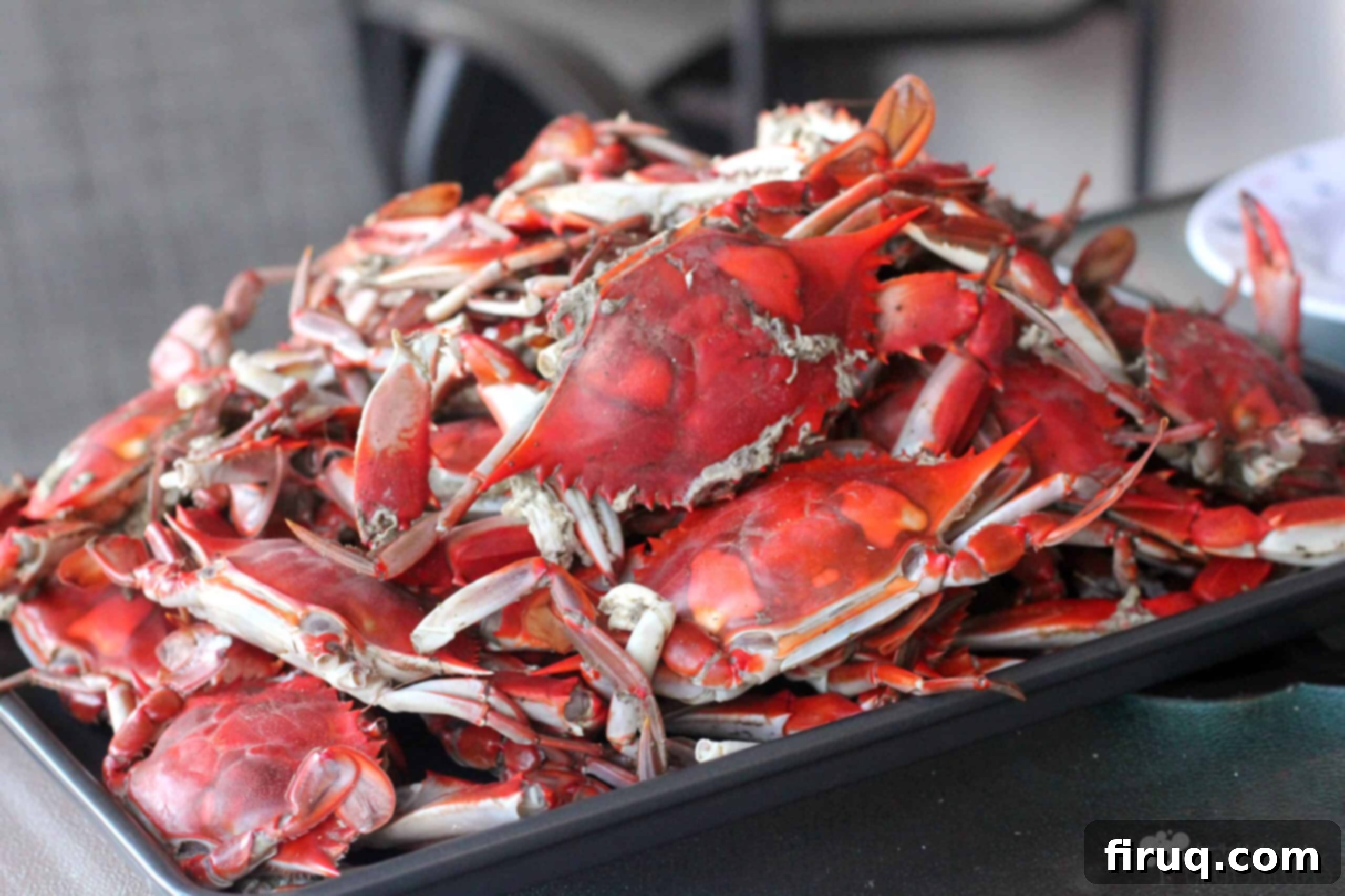 The Ultimate Steamed Blue Crabs 9 Classic Steamed Blue Crabs