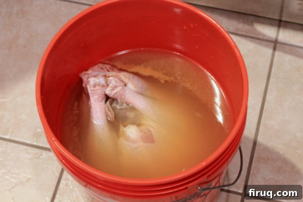 Festive Apple-Beer Brined Turkey with AppleJack Giblet Gravy 4 Close-up of Turkey Brining in Liquid