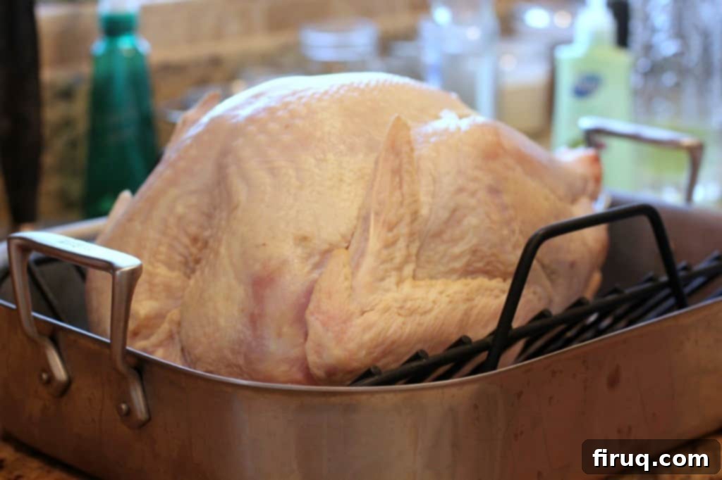Festive Apple-Beer Brined Turkey with AppleJack Giblet Gravy 6 Turkey Stuffed, Seasoned, and Ready for Roasting