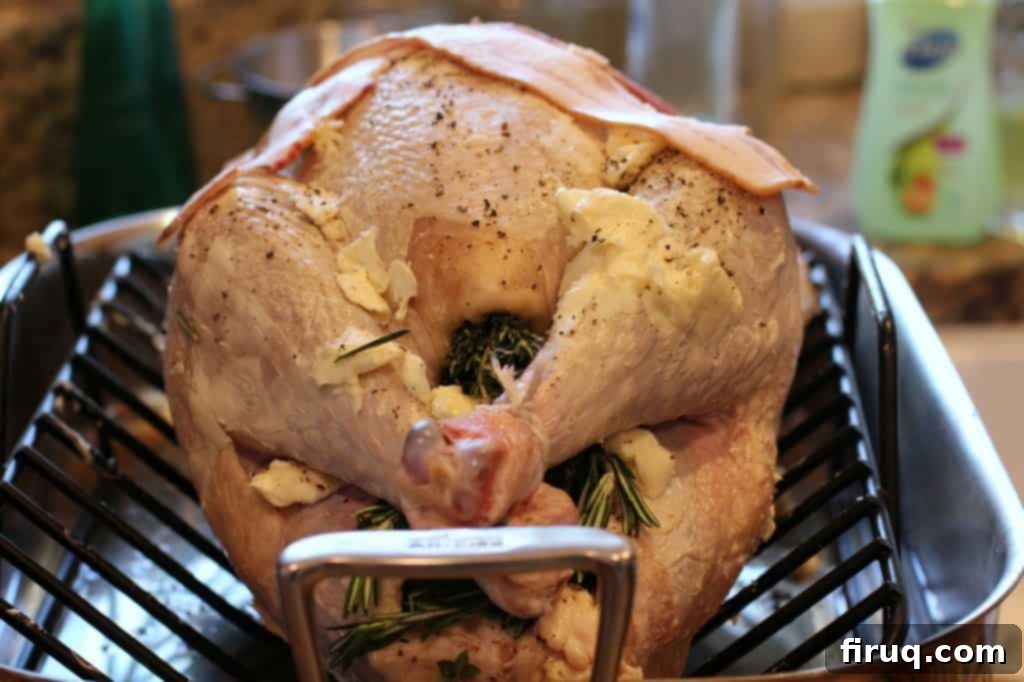 Festive Apple-Beer Brined Turkey with AppleJack Giblet Gravy 7 Turkey with Wing Tips Tucked Under